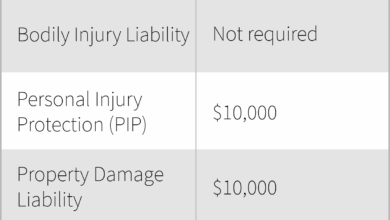 Car Insurance Florida: Meeting Minimum Coverage Requirements And More